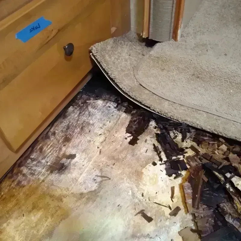 Wood Floor Water Damage in Tioga, ND